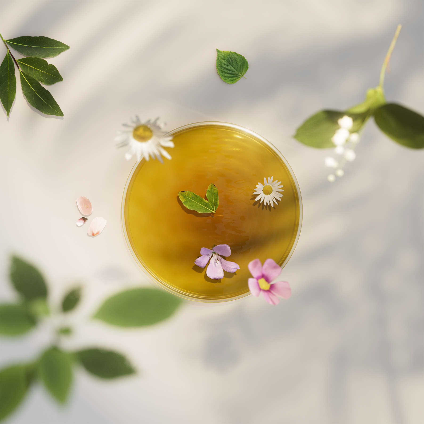 Gryphon Tea New Packaging